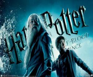 Puzle Harry Potter and the Half-Blood Prince