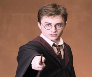 Puzle Harry Potter com a varinha mágica