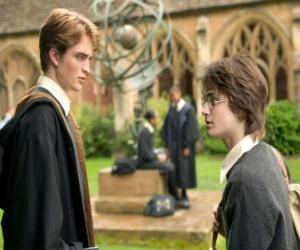 Puzle Harry Potter e seu amigo Cedrico Diggory