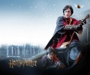 Puzle Harry Potter jogando ao Quidditch com sua vassoura mágica como um caçador tentando pegar a bola