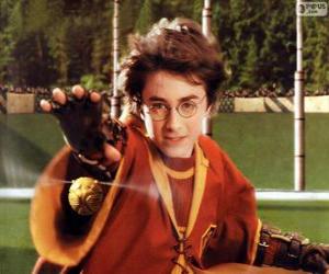 Puzle Harry Potter jogando uma bola