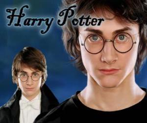 Puzle Harry Potter