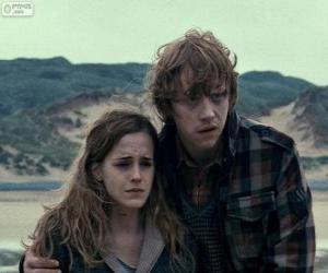 Puzle Hermione Granger e Ron Weasle