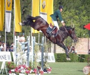 Puzle Hipismo ou Equitação - Cavalo e cavaleiro no exercício de salto