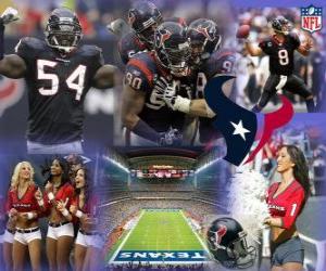 Puzle Houston Texans