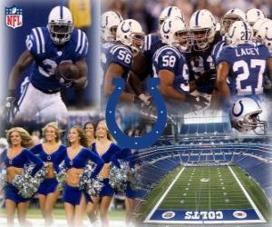 Puzle Indianapolis Colts