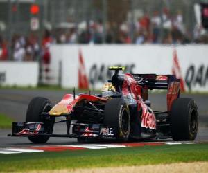 Puzle Jaime Alguersuari - Toro Rosso - Melbourne 2010