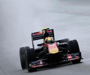 Puzle Jaime Alguersuari - Toro Rosso - Xangai 2010