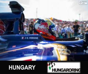 Puzle Jean-Eric Vergne - Toro Rosso - Hungaroring, 2013