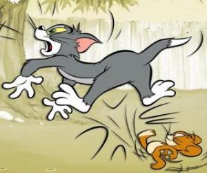 Puzle Jerry dá um chute no traseiro do Tom