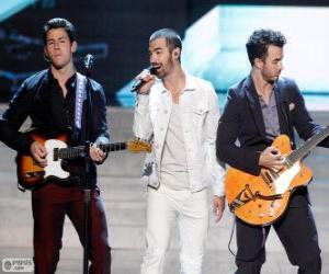 Puzle Jonas Brothers 2013