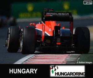 Puzle Jules Bianchi - Marussia - Hungaroring, 2013