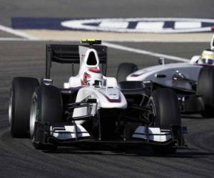 Puzle Kamui Kobayashi - BMW Sauber - Bahrain 2010