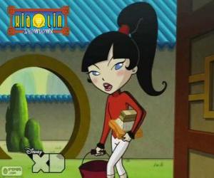 Puzle Kimiko Tohomiko, Xiaolin Dragão do Fogo, a única menina no time