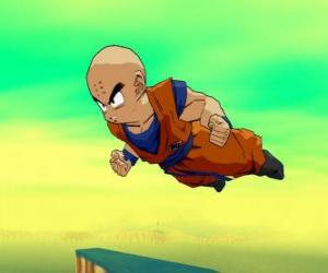 Puzle Krillin Goku é sócio e melhor amigo.