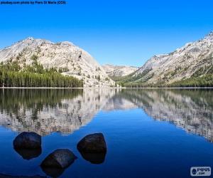 Puzle Lago Tenaya, Estados Unidos