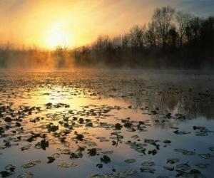 Puzle Lagoa paisagem em Ohio