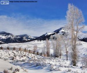 Puzle Lamar Valley, Parque Nacional de Yellowstone, Wyoming, Estados Unidos