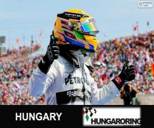 Puzle Lewis Hamilton comemora sua vitória no Grande Prêmio da Hungria 2013