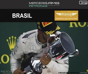 Puzle Lewis Hamilton, GP do Brasil 2016