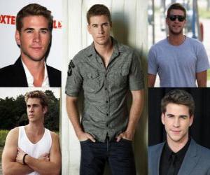 Puzle Liam Hemsworth é um ator australiano