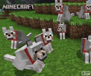 Puzle Lobos de Minecraft