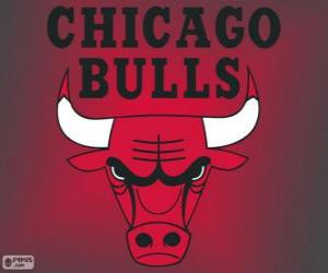 Puzle Logo Chicago Bulls, time da NBA. Divisão Central, Conferência Leste