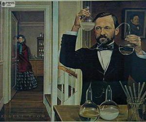 Puzle Louis Pasteur (1822-1895) foi um químico francês