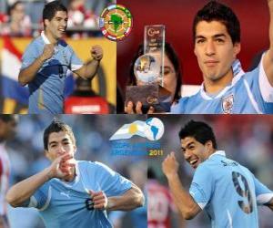 Puzle Luis Suarez melhor jogador da Copa América 2011