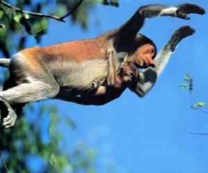 Puzle Macaco pulando