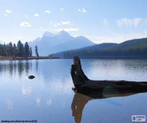 Puzle Maligne Lake, Canadá