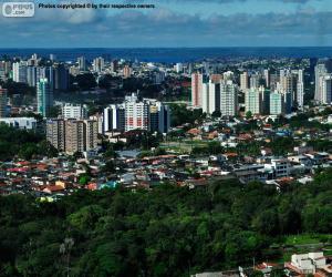 Puzle Manaus, Brasil