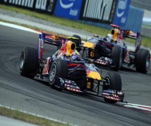 Puzle Mark Webber - Red Bull - Istambul 2010