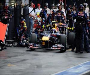 Puzle Mark Webber - Red Bull - Melbourne 2010