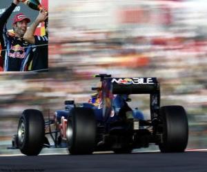Puzle Mark Webber - Red Bull - Suzuka 2010 (2 º Classificado)