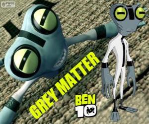 Puzle Massa Cizenta ou Grey Matter, Ben 10