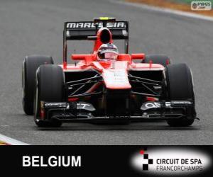 Puzle Max Chilton - Marussia - Spa-Francorchamps, 2013