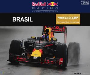 Puzle Max Verstappen, GP do Brasil 2016