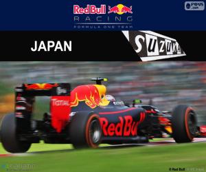 Puzle Max Verstappen, GP do Japão 2016