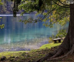 Puzle Meditação no lago
