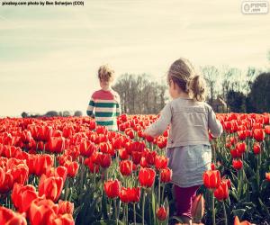 Puzle Meninas entre tulipas