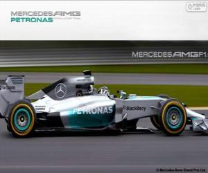 Puzle Mercedes AMG F1 W05 - 2014 -
