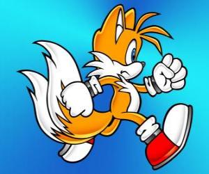 Puzle Miles Prower, conhecido como Tails é uma raposa com duas caudas, que pode voar