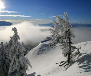 Puzle montanhas nevadas Poiana Brasov, Roménia