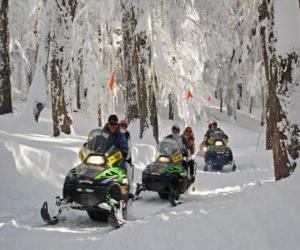 Puzle Moto de neve - Motoneve ou mota de neve