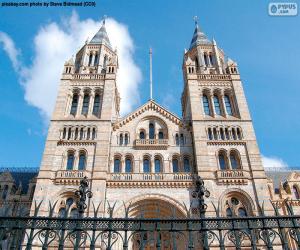 Puzle Museu de História Natural, Londres