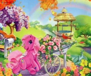 Puzle My little Pony rodeado por flores