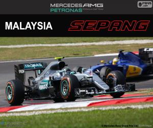 Puzle N. Rosberg, GP da Malásia de 2016