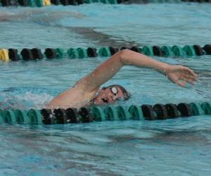 Puzle Nadador praticando o estilo crawl na pista de uma piscina de competição