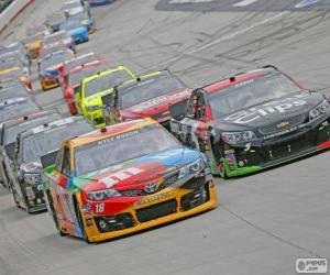 Puzle NASCAR Sprint Cup Series